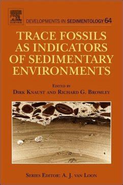 trace fossils as indicators of sedimentary environments purchase used